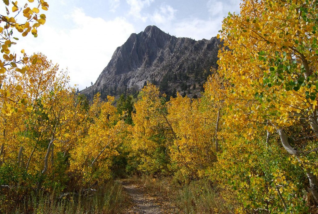 Mcgee creek fall colors 11