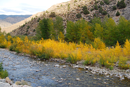 Walker river
