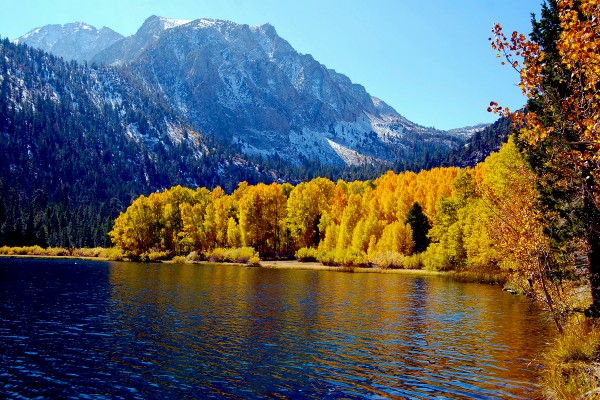 AV – Little Walker Lake – California Fall Color