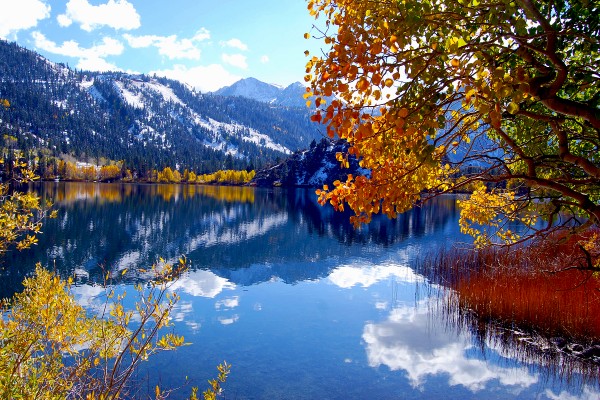 Gull Lake – California Fall Color