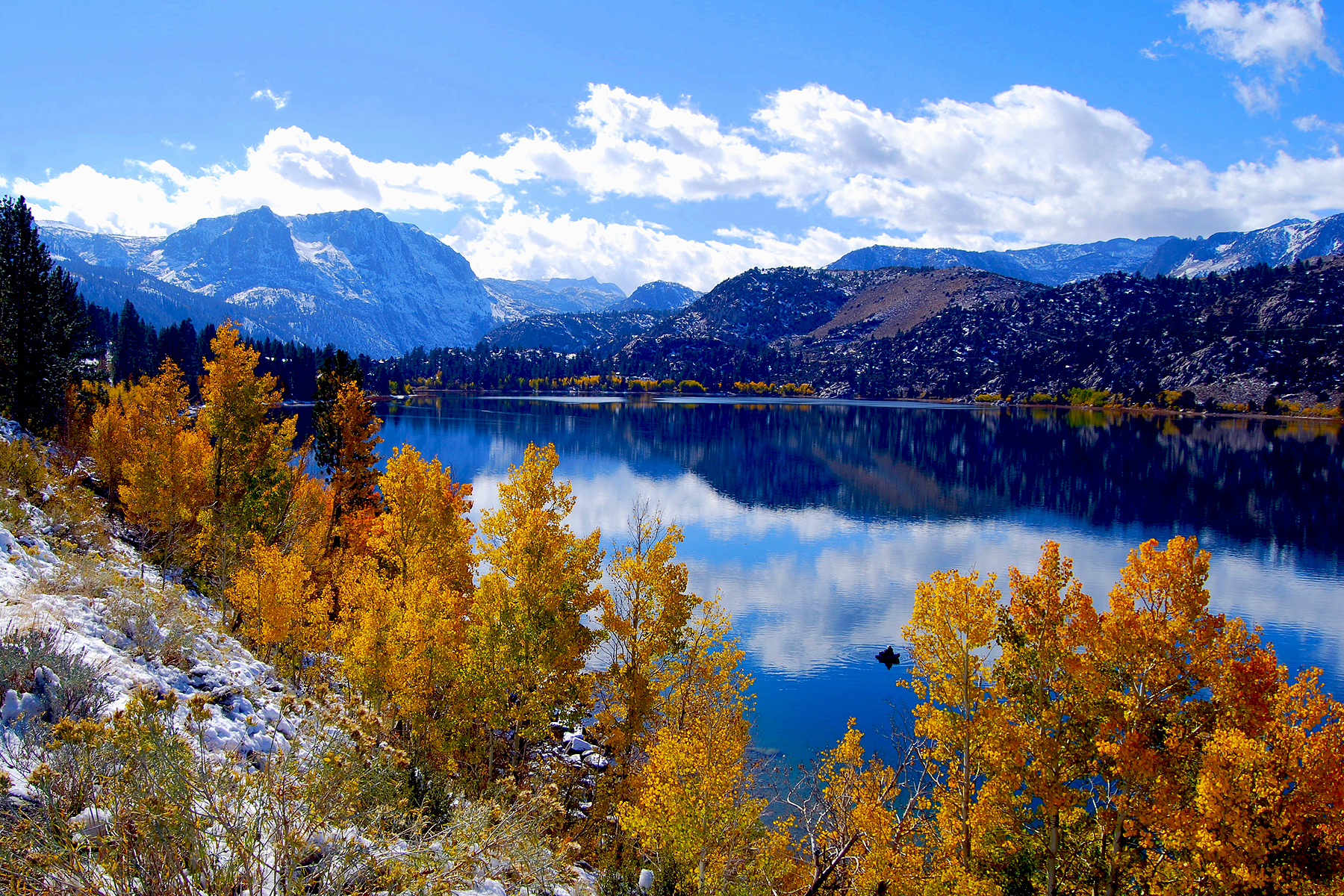 June Lake California Fall Color