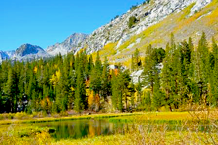 This Is It – Bishop Creek Canyon – Go Now!!! – California Fall Color