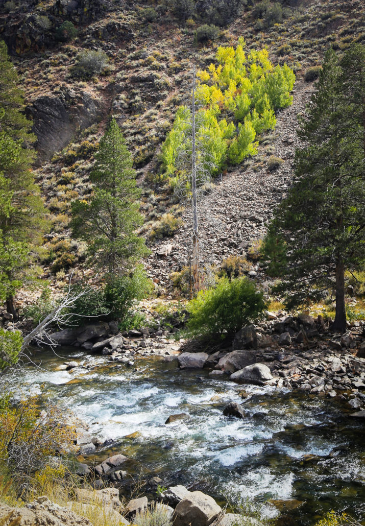 River walking