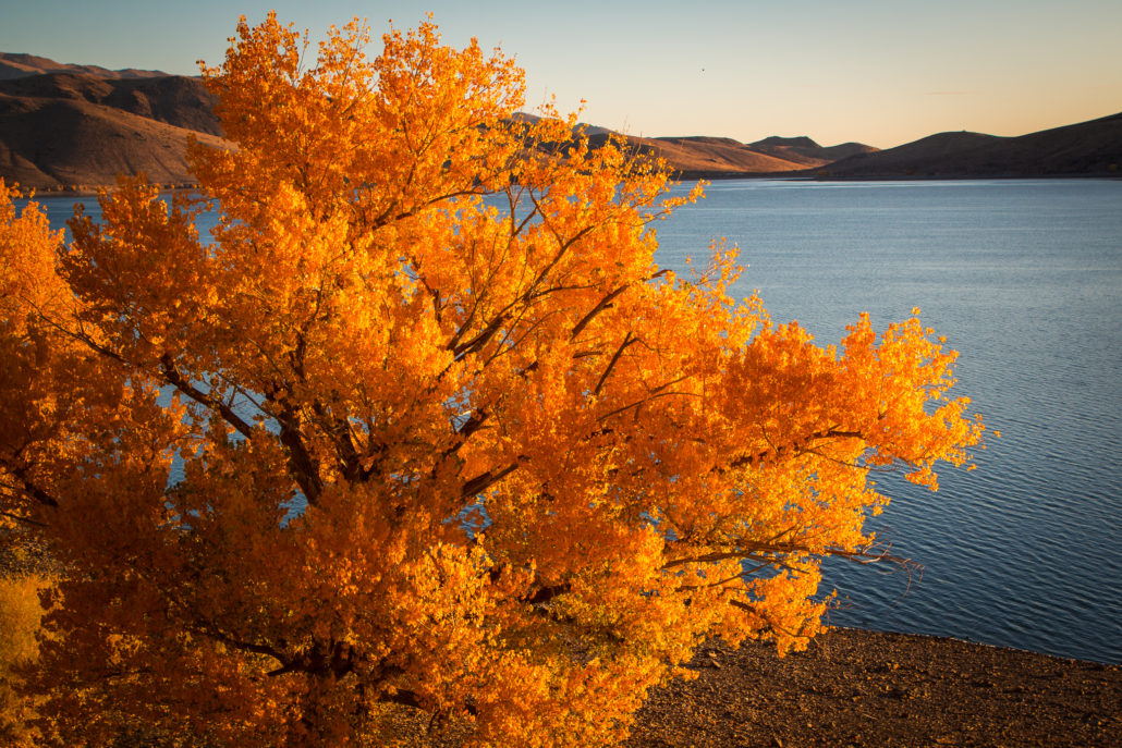 Jeff simpson topaz lake 2