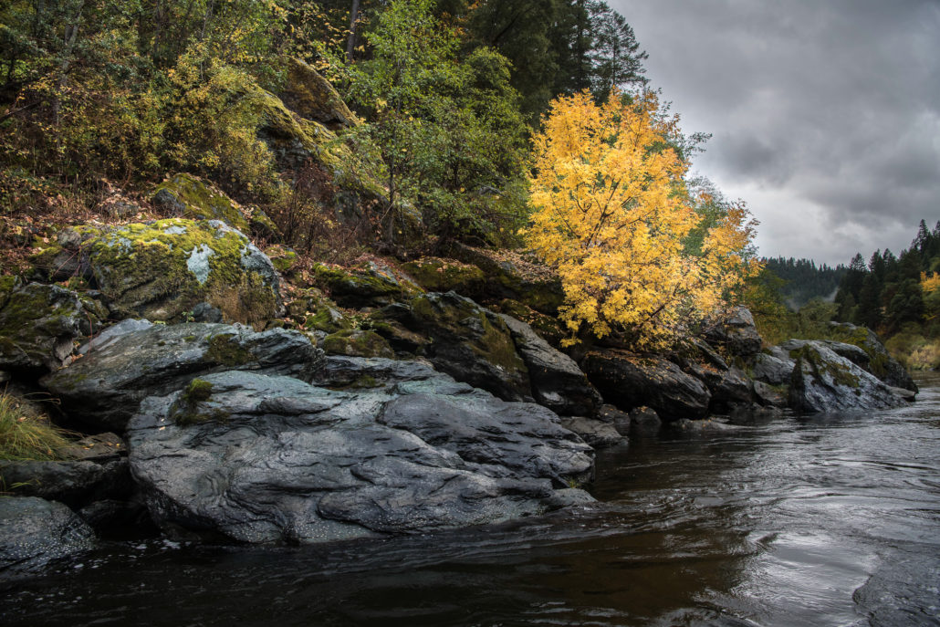 Phillip reedy klamath river 5