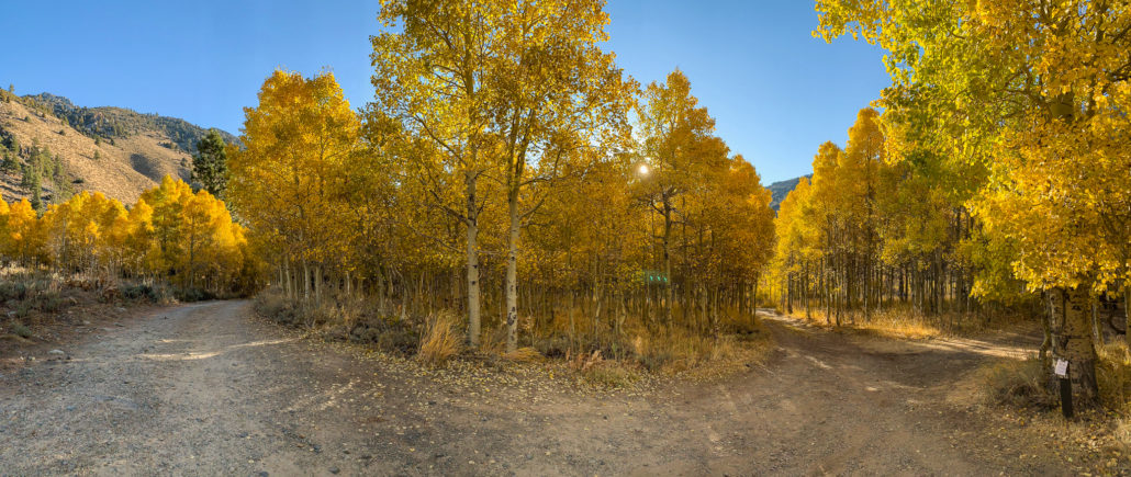 Sophie geaney lundy canyon 3