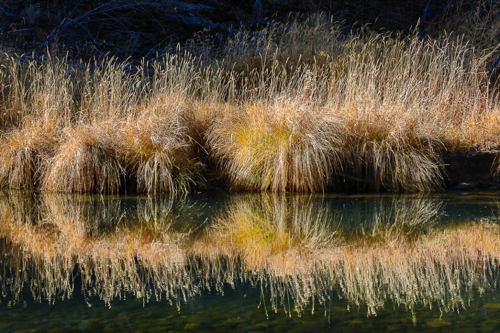 Michael beatley feather river 1