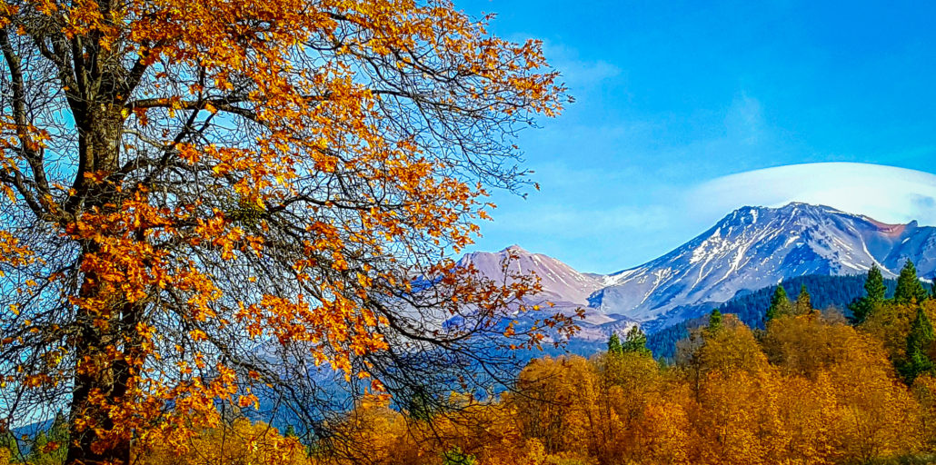 Namita mishra mt. shasta 2