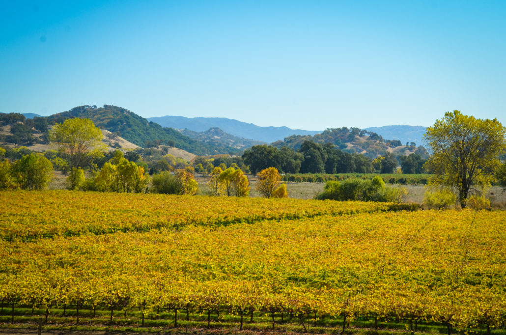 Walt gabler ukiah 1