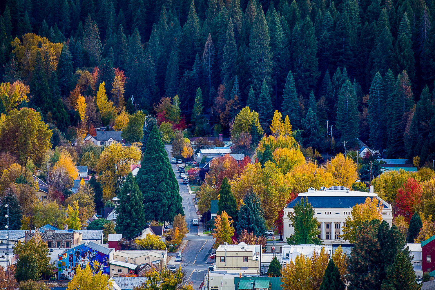 Above Quincy – California Fall Color