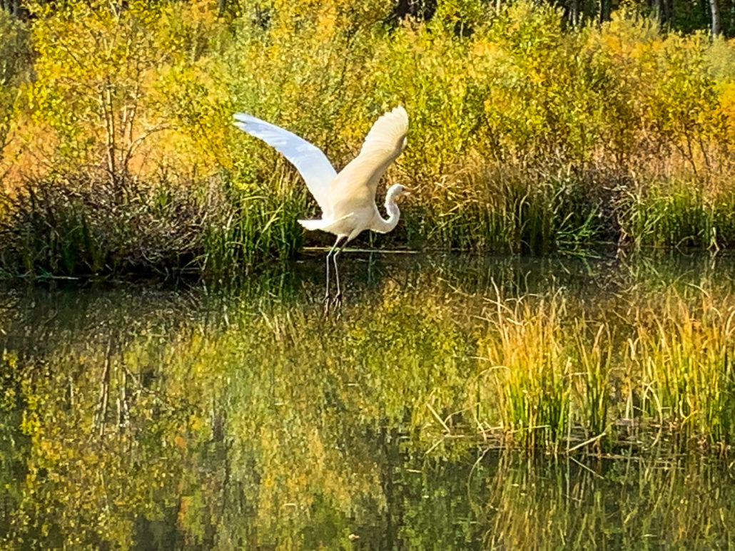 Bruce wendler img 5315 1