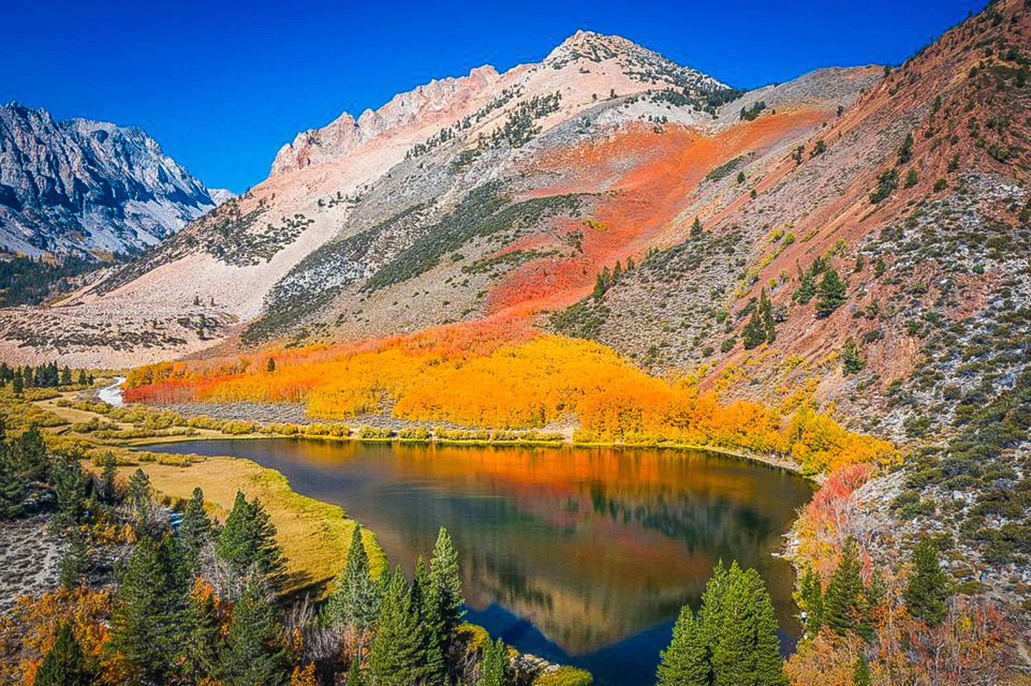 Well Done Bishop Creek California Fall Color