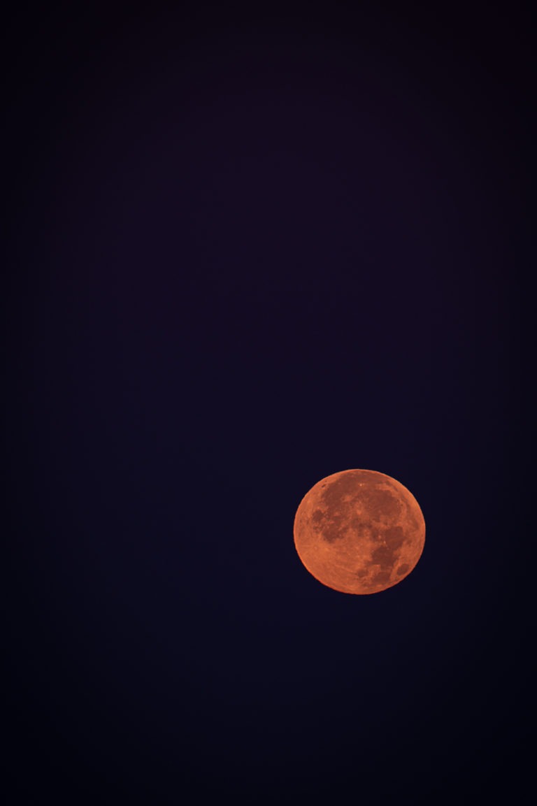 Full Beaver Moon – California Fall Color