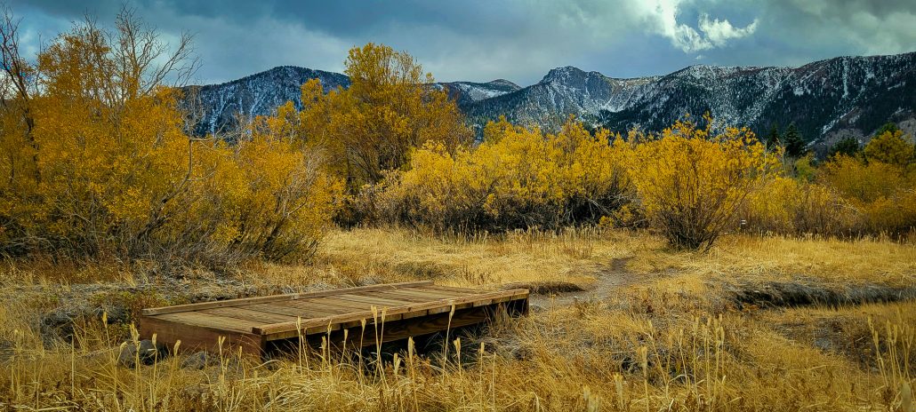 Angie Plaisted Snowcreek Bridge 10.23.2021