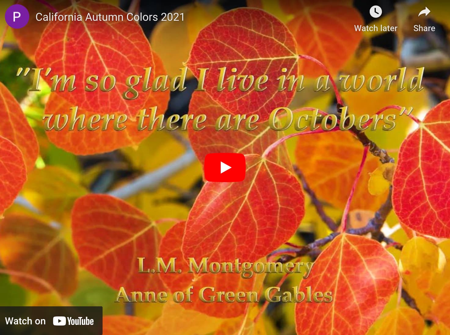 Fall Color Contest And The Winner Is … – California Fall Color