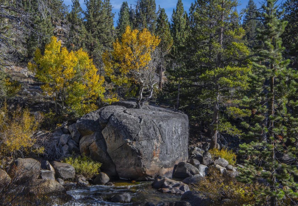 West Carson River Phil Reedy