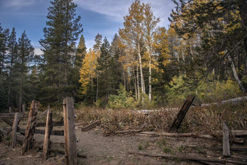 Woods Lake Corral Philip Reedy 10/13/23