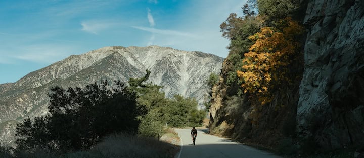Fall foliage in the san gabriel mountains near crystal lake (11/10/23) tim vandehey