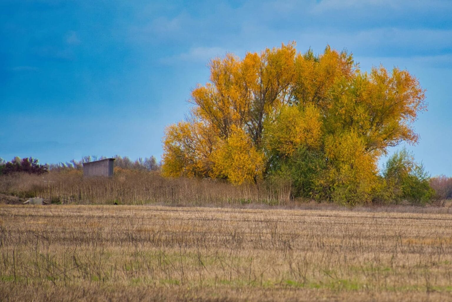 CENTRAL VALLEY CALIFORNIA CLIMATE visual data 2