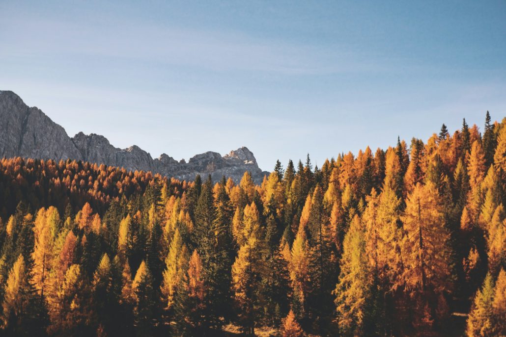 Federica galli pf1ug8ystty unsplash