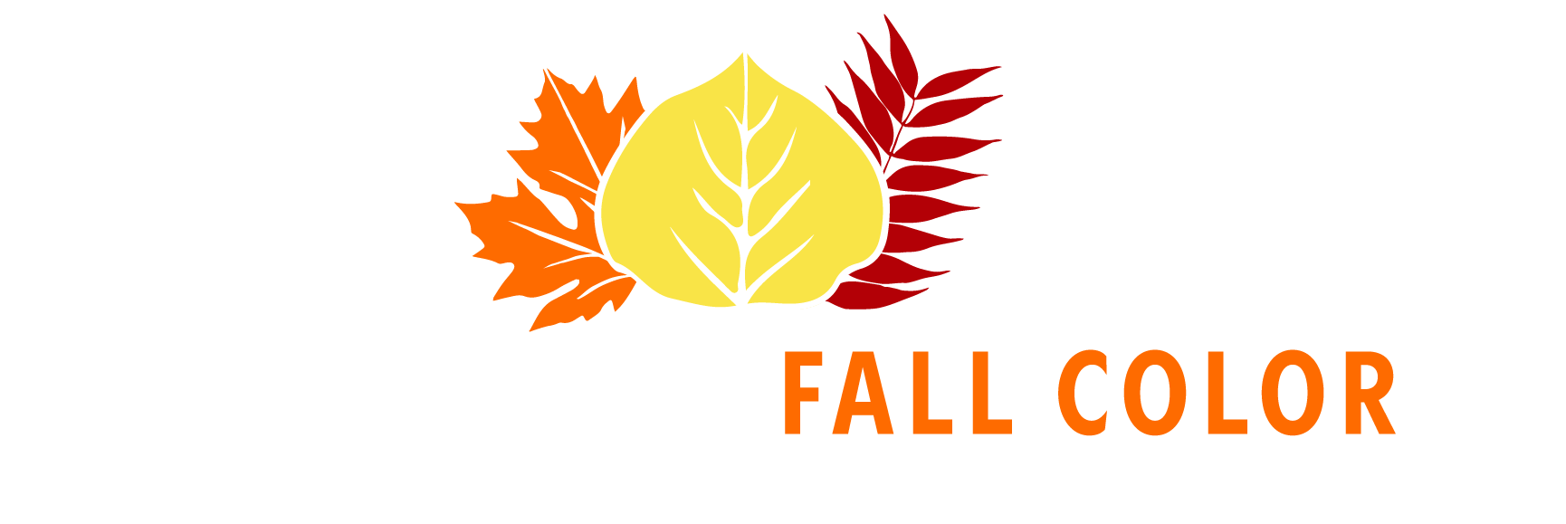 California Fall Color