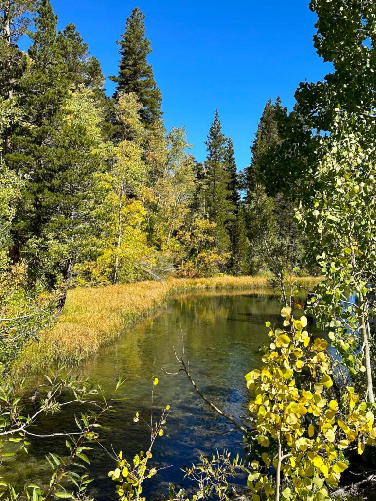 9 22 24 Lake Sabrina Area 5 Copy