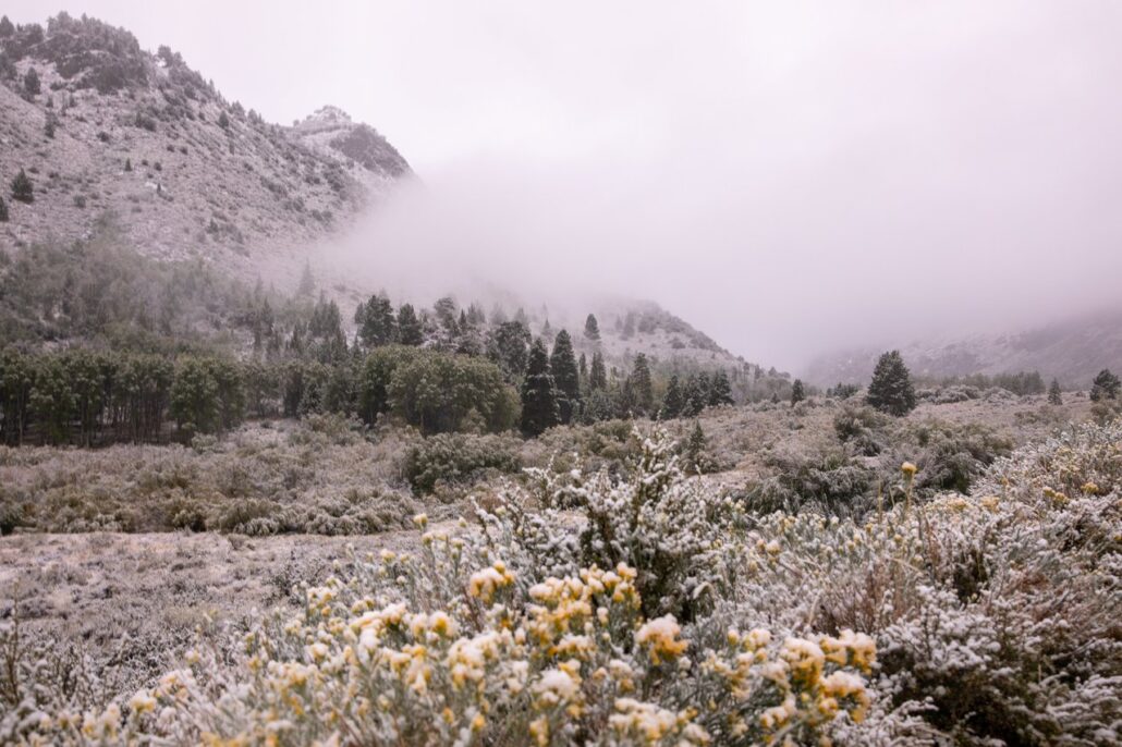 June Lake Snow (9 16 24) Photo Credit Samantha Lindberg Mammoth Lakes Tourism 8 Medium