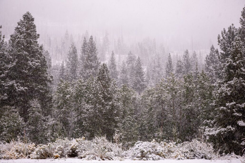 June Lake Snow (9 16 24) Photo Credit Samantha Lindberg Mammoth Lakes Tourism Medium