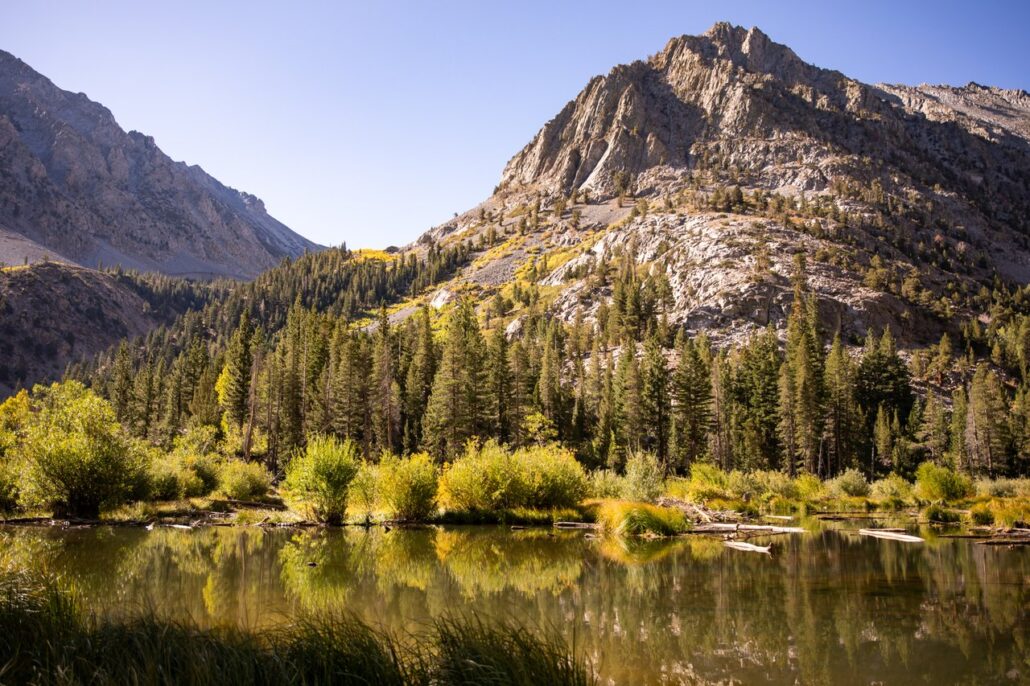 Lundy Canyon Fall Colors (9 16 24) Photo Credit Samantha Lindberg Mammoth Lakes Tourism 4 Medium