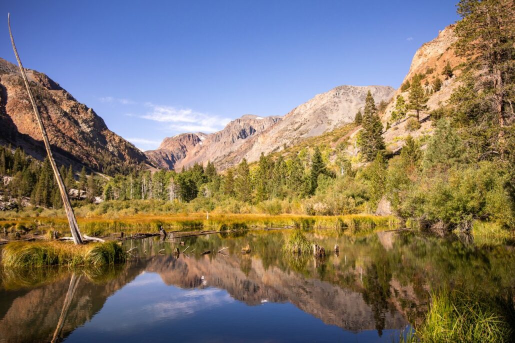 Lundy Canyon Fall Colors (9 16 24) Photo Credit Samantha Lindberg Mammoth Lakes Tourism 5 Medium