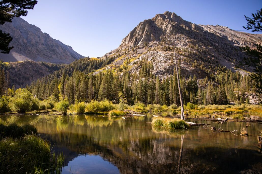 Lundy Canyon Fall Colors (9 16 24) Photo Credit Samantha Lindberg Mammoth Lakes Tourism Medium