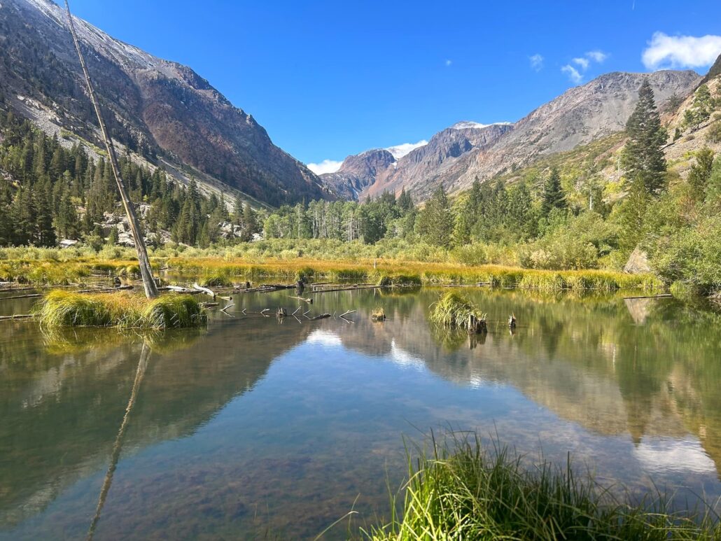 Lundy Canyon Beaver Ponds Sep 17 2024 Mono County Tourism Copy