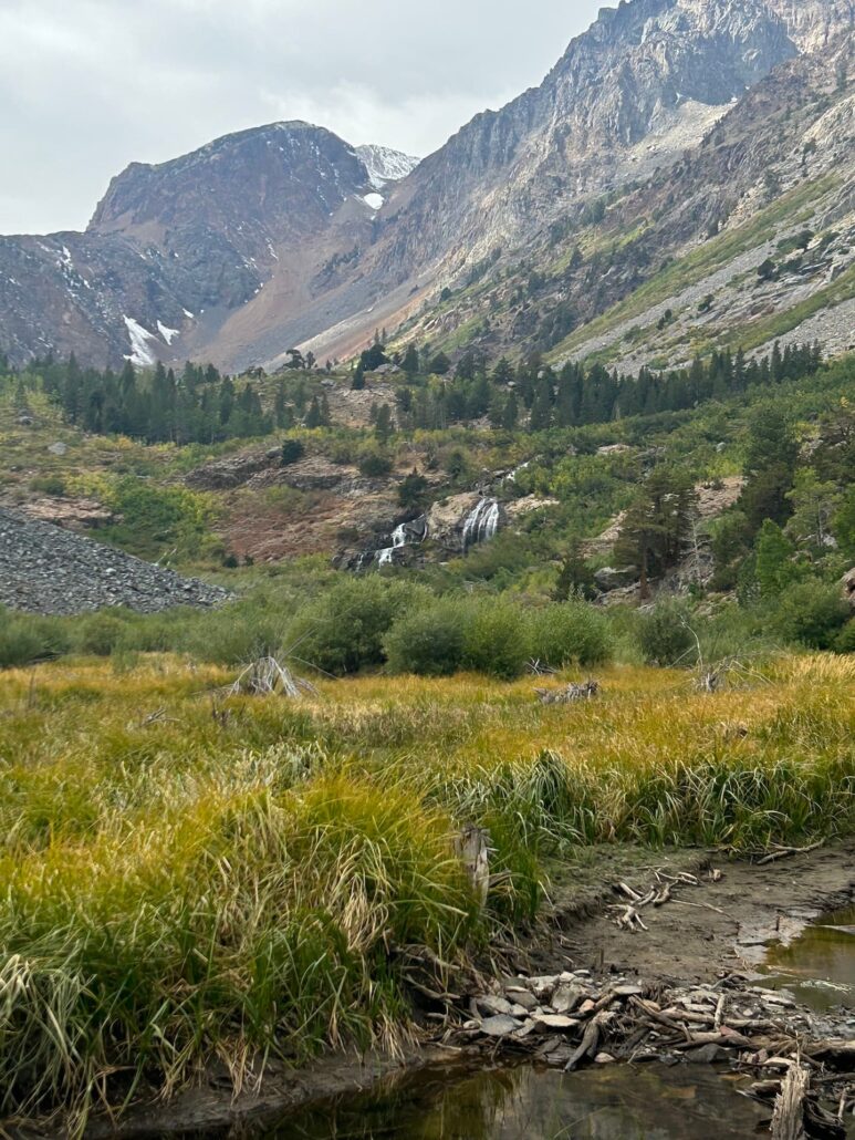 Lundy Canyon Pond Grasses And Falls Sep 17 2024 Mono County Tourism Copy