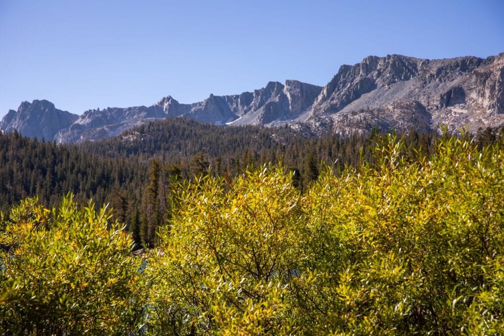 Mammoth Lakes Fall Colors (9 9 24) Photo Credit Samantha Lindberg Mammoth Lakes Tourism 12 Medium