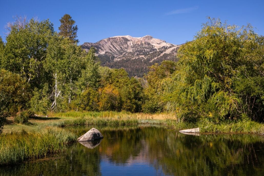 Mammoth Lakes Fall Colors (9 9 24) Photo Credit Samantha Lindberg Mammoth Lakes Tourism 21 Medium