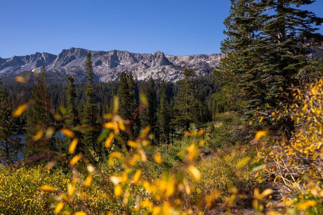 Mammoth Lakes Fall Colors (9 9 24) Photo Credit Samantha Lindberg Mammoth Lakes Tourism 3 Large Copy