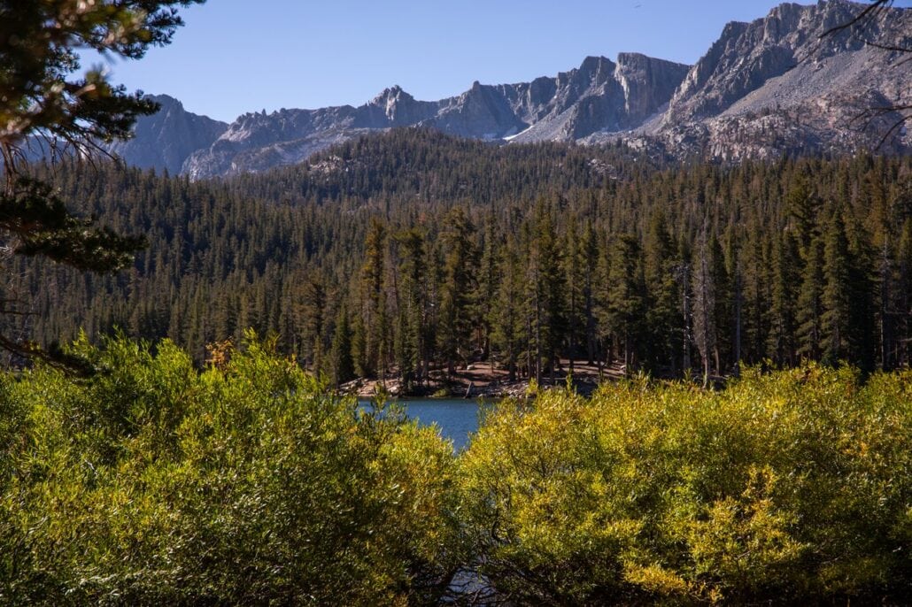 Mammoth Lakes Fall Colors (9 9 24) Photo Credit Samantha Lindberg Mammoth Lakes Tourism 7 Medium