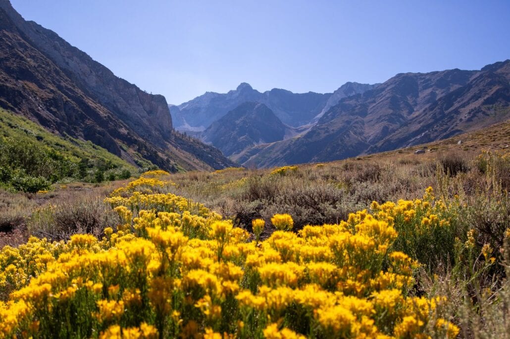 Mcgee Creek Fall Colors (9 9 24) Photo Credit Samantha Lindberg Mammoth Lakes Tourism Medium