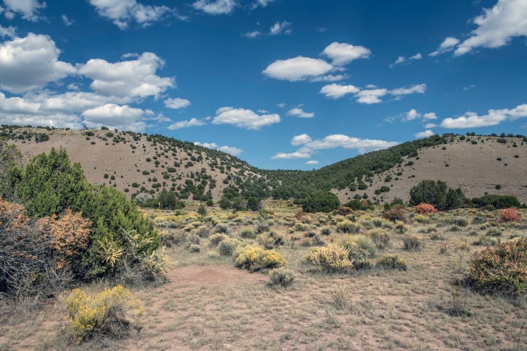 Near Pie Towm Az Copy