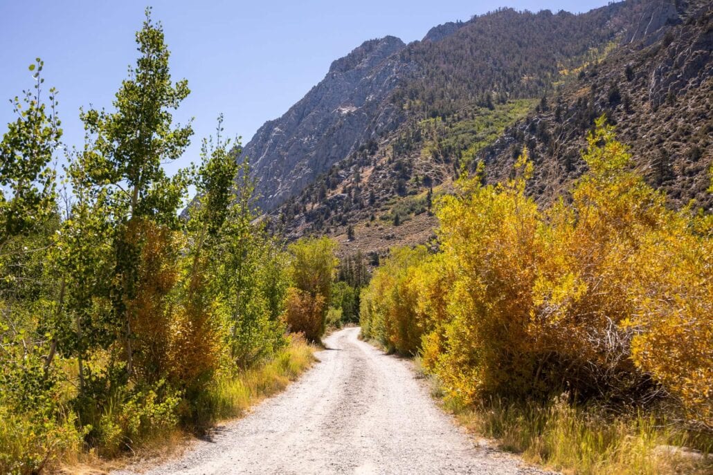 Rock Creek Fall Colors (9 9 24) Photo Credit Samantha Lindberg Mammoth Lakes Tourism Large Copy