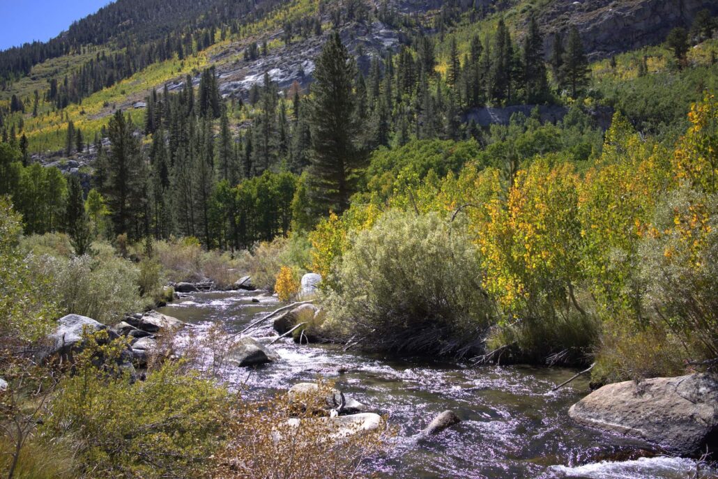 South Fork Bishop Creek Copy