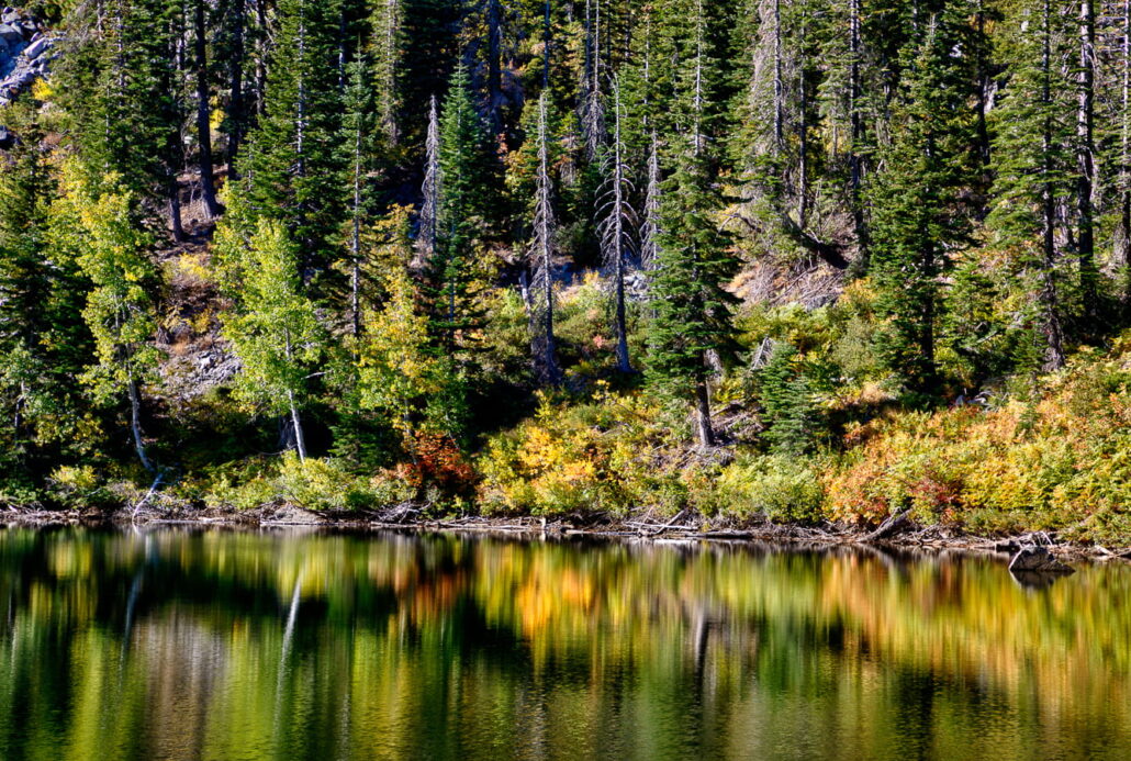Thompson Lake Fall 2 Copy