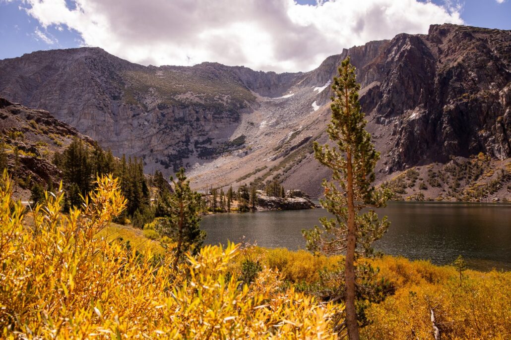 Tioga Pass Fall Colors (9 16 24) Photo Credit Samantha Lindberg Mammoth Lakes Tourism 12 Medium