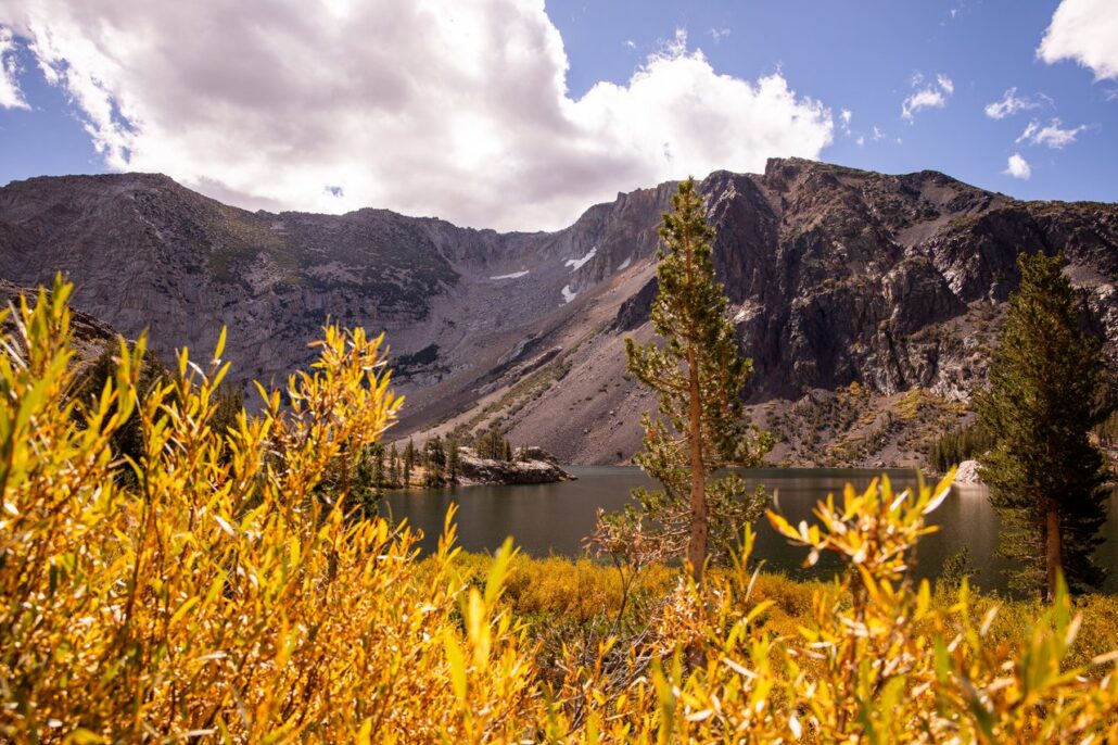 Tioga Pass Fall Colors (9 16 24) Photo Credit Samantha Lindberg Mammoth Lakes Tourism 14 Medium