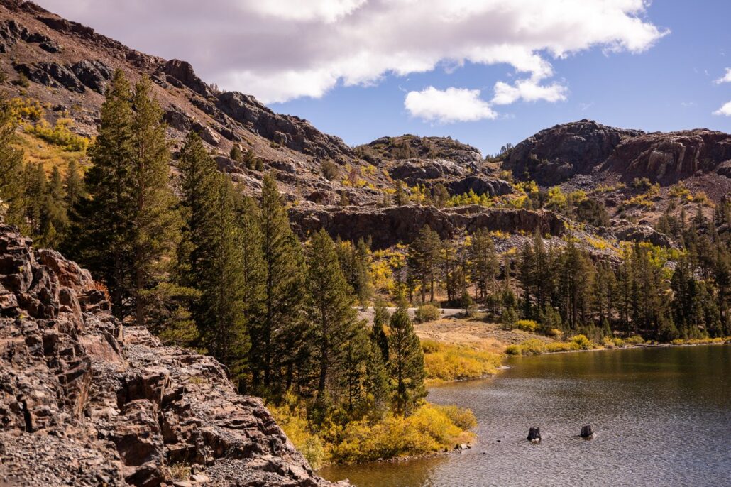 Tioga Pass Fall Colors (9 16 24) Photo Credit Samantha Lindberg Mammoth Lakes Tourism 2 Medium