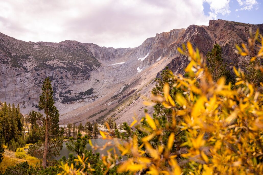 Tioga Pass Fall Colors (9 16 24) Photo Credit Samantha Lindberg Mammoth Lakes Tourism 20 Medium