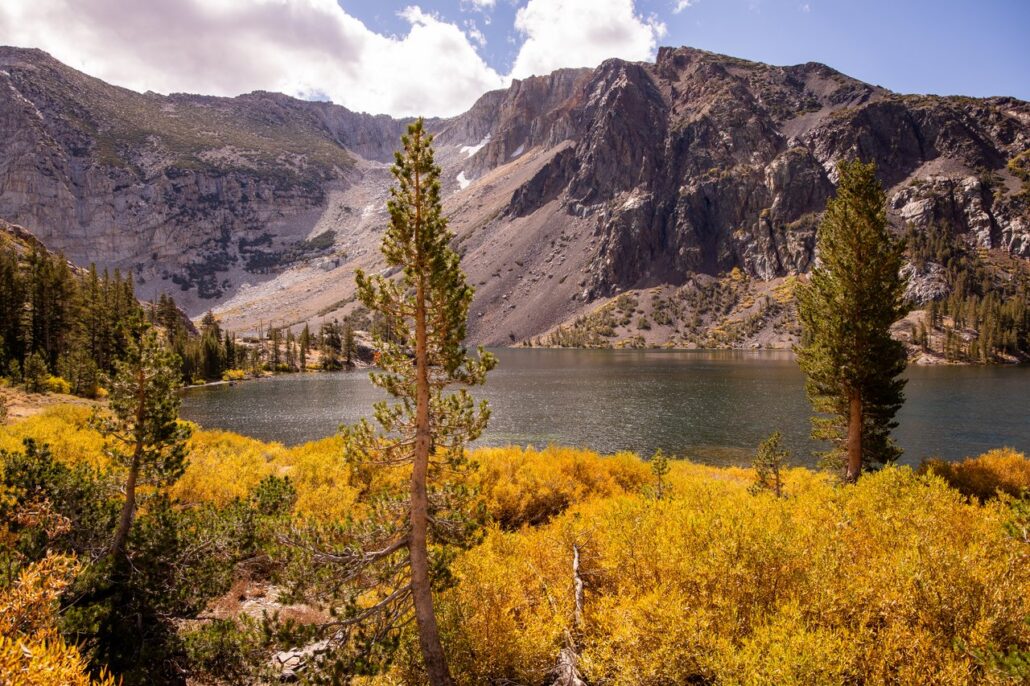 Tioga Pass Fall Colors (9 16 24) Photo Credit Samantha Lindberg Mammoth Lakes Tourism 4 Medium