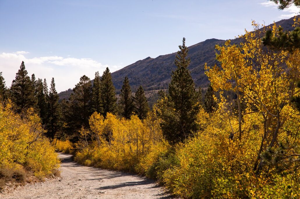 Virginia Lakes Fall Colors (9 16 24) Photo Credit Samantha Lindberg Mammoth Lakes Tourism 10 Medium