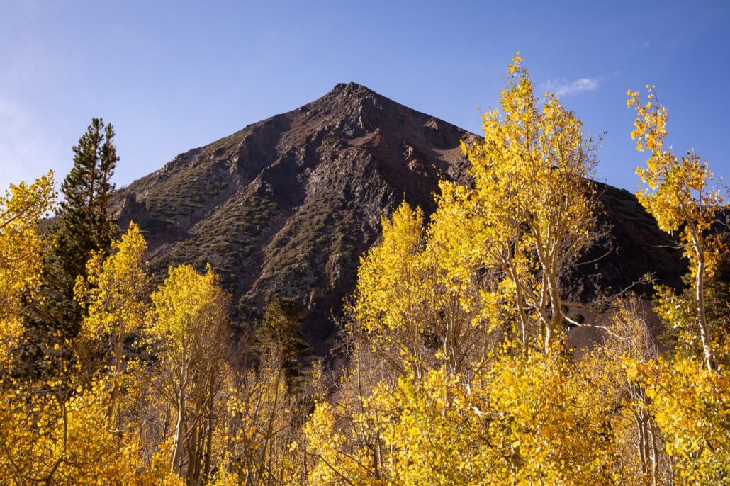 Virginia Lakes Fall Colors (9 16 24) Photo Credit Samantha Lindberg Mammoth Lakes Tourism 12 Medium