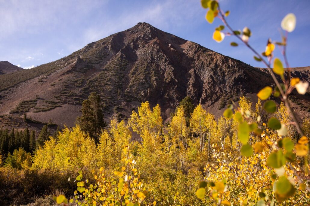 Virginia Lakes Fall Colors (9 16 24) Photo Credit Samantha Lindberg Mammoth Lakes Tourism 2 Medium